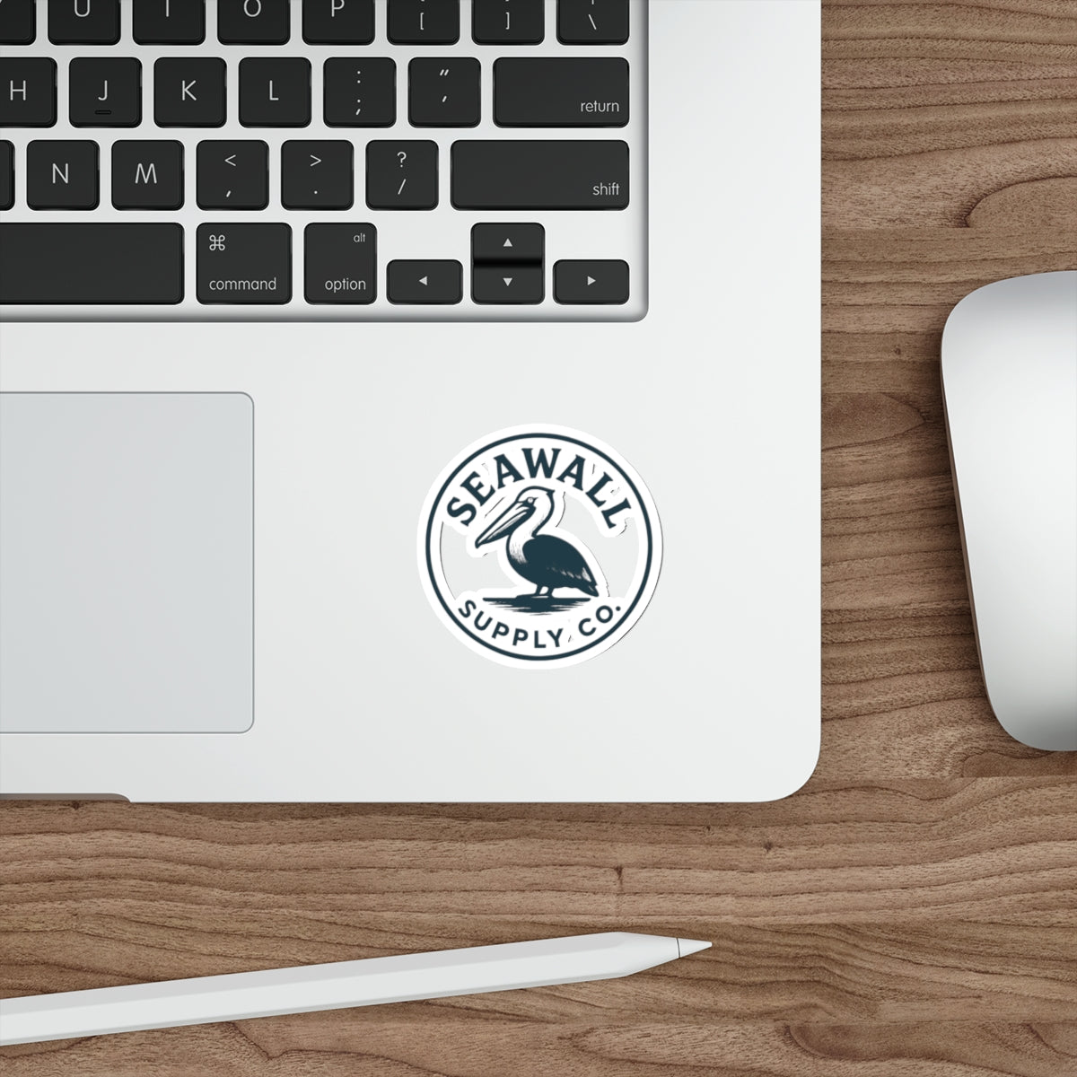 Seawall Pelican Sticker